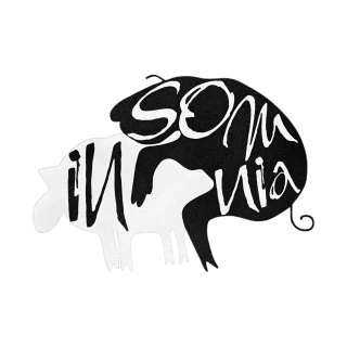 SOM in Via